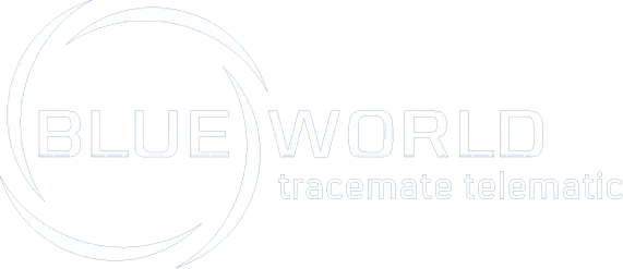 blueworld GmbH Logo